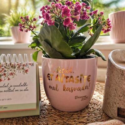 Lillepott (keraamiline) tekstiga