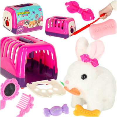 Porgand jänes pluus kõnnib liigub kõrvadega