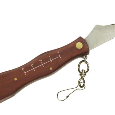 Seente korjamise taskunuga seente jaoks