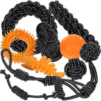 Koera mänguasjade komplekt - 10 tk Purlov 24388