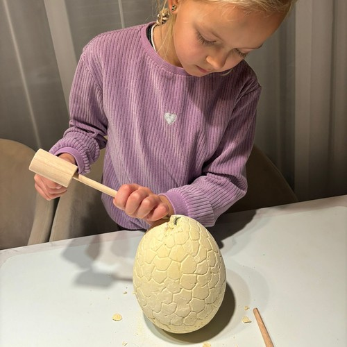 Dinosauruse muna - väljakaevamiskomplekt 24981 - Pilt 10