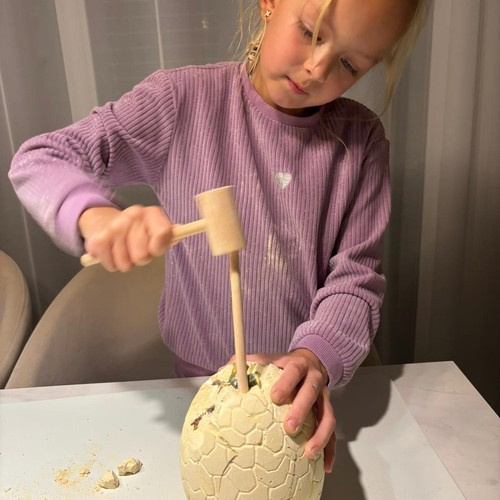 Dinosauruse muna - väljakaevamiskomplekt 24981 - Pilt 11