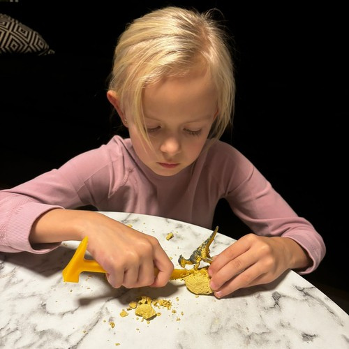 Dinosauruste kaevandus - Kruzzel väljakaevamised 24982 - Pilt 13