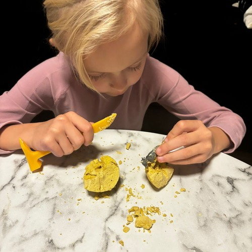 Dinosauruste kaevandus - Kruzzel väljakaevamised 24982 - Pilt 11