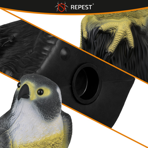 Bird scarer - falcon 23421 - Pilt 11