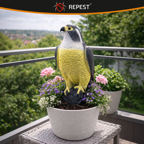 Bird scarer - falcon 23421 - Pilt 7