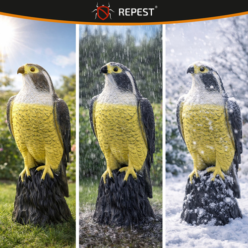 Bird scarer - falcon 23421 - Pilt 9