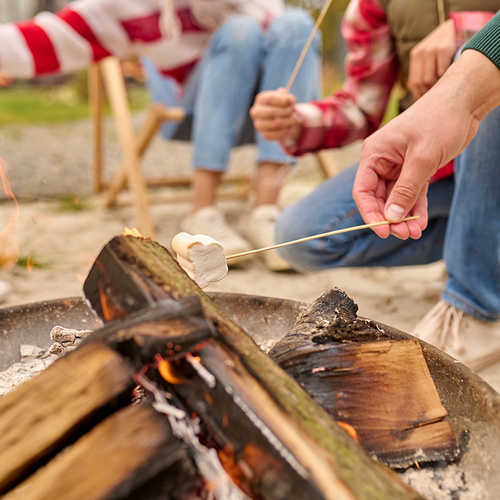 Garden fire pit 60 cm 25379 - Pilt 9