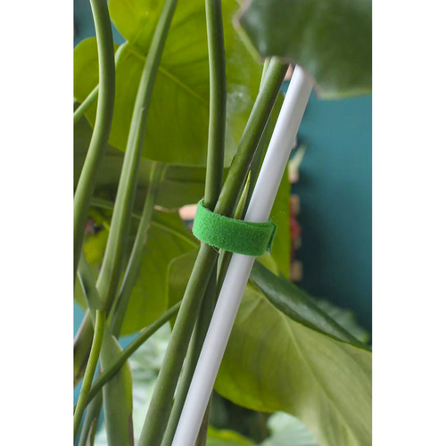 Velcro garden tape 5m Gardlov 25362 - Pilt 15