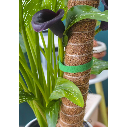 Velcro garden tape 5m Gardlov 25362 - Pilt 11