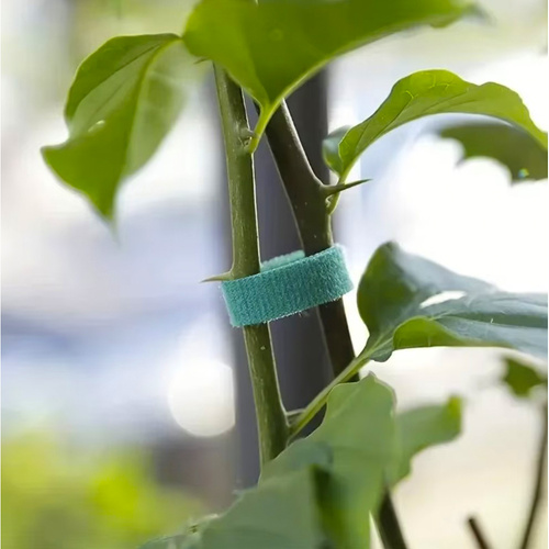 Velcro garden tape 5m Gardlov 25362 - Pilt 13