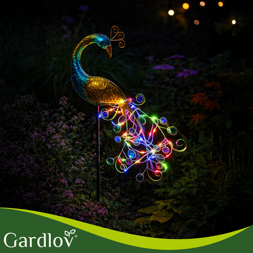 Gardlov 25281 peacock solar lamp - Pilt 13