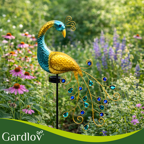 Gardlov 25281 peacock solar lamp - Pilt 12