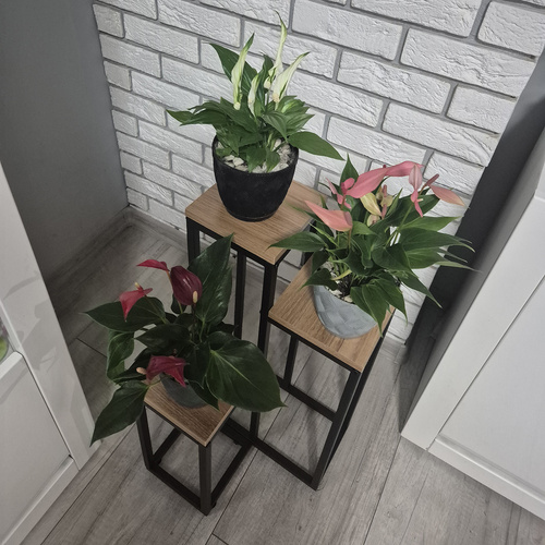 Lillealus 67 cm Ruhhy 25626 - Pilt 8
