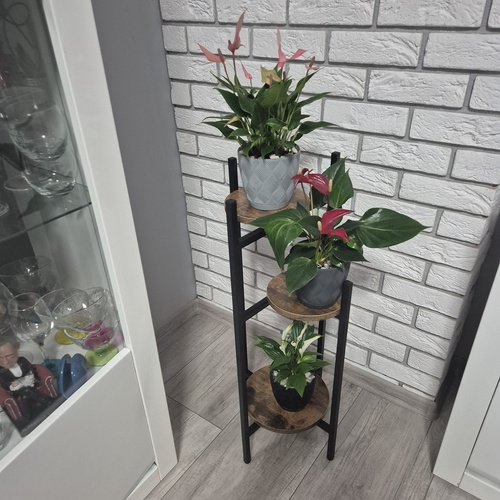 Lillealus 80 cm Ruhhy 25627 - Pilt 5