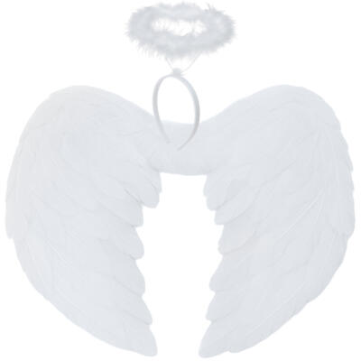 Ingli tiivad 2 tk 45x35 cm Ruhhy 26479