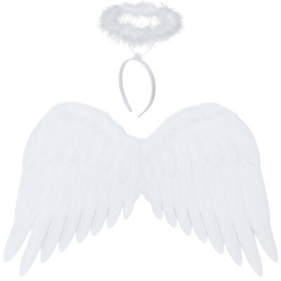 Ingli tiivad 2 tk 50x35 cm Ruhhy 26480