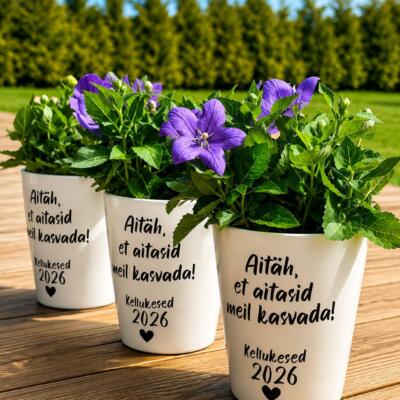 aitäh õpetaja!